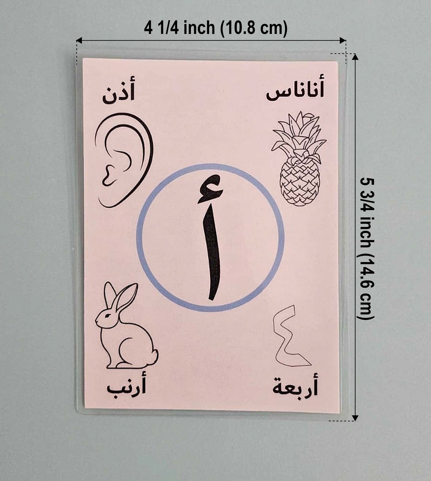 Color and Wipe Laminated Arabic Alphabet Cards for Toddlers and Preschoolers