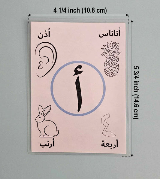 Color and Wipe Laminated Arabic Alphabet Cards for Toddlers and Preschoolers