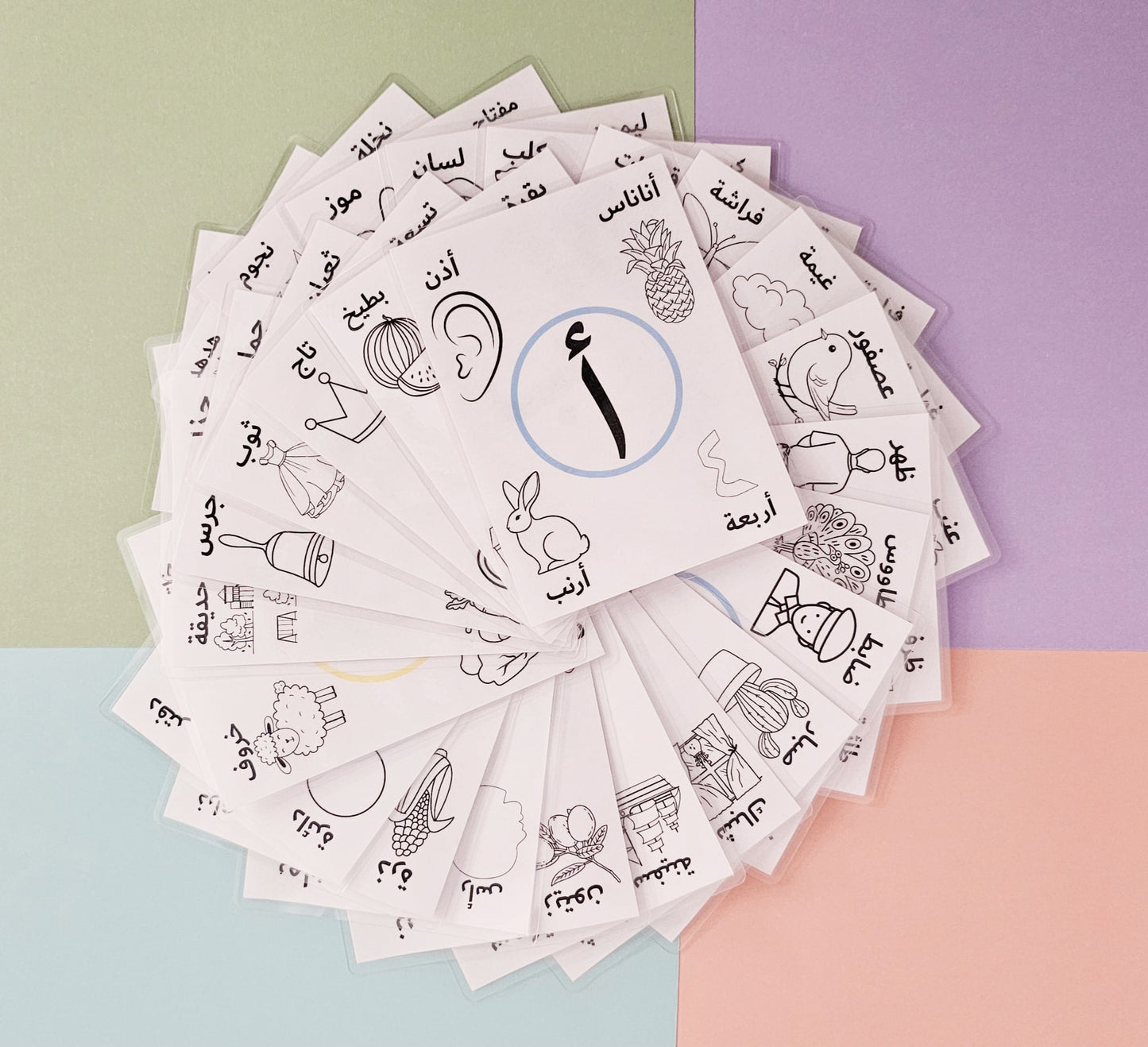 Color and Wipe Laminated Arabic Alphabet Cards for Toddlers and Preschoolers
